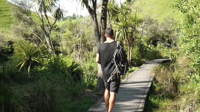 Caucasian male tourist from behind walks along Putaruru Blue Sprinng river surrounded by native lush New Zealand forrest