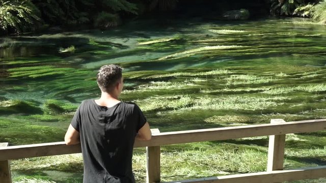 Young caucasian male from behind looking at Putaruru Blue Spring in New Zealand