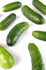 Cucumber