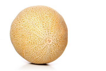 Melon