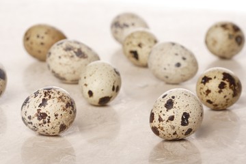 Quail eggs