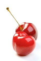 Studio shot of cherries on white background
