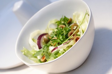 Studio shot of spring salad