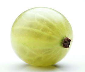 Studio shot of gooseberies at white background