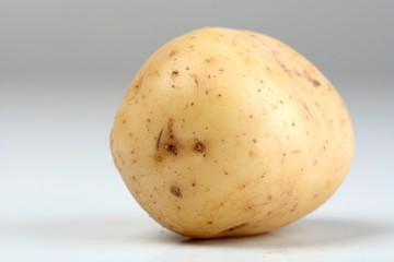 Close up of potato on white backround