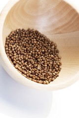 Closeup of died mustard seeds