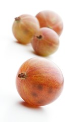 Close up of gooseberrys on white background