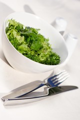 Close up of spring salad