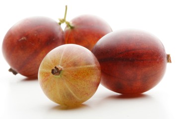 Studio shot of gooseberries at white background