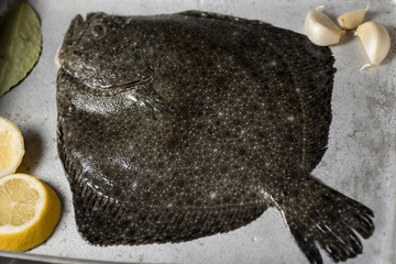Turbot on a baking sheet and oven rack, with garlic, lemon and bay leaf, prepared to be baked in...