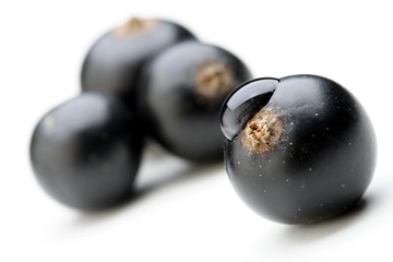 Close up of black currants
