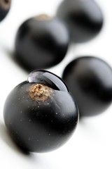 Close up of black currants