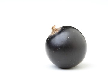 Black currant - close up