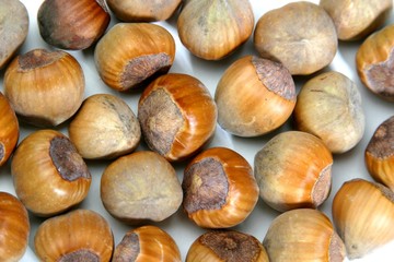 Hazelnuts