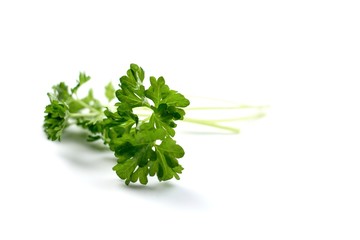 Parsley