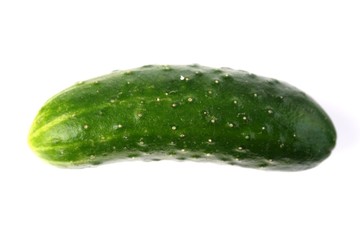 Cucumber