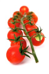 Tomato