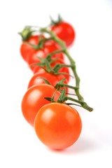 Tomato