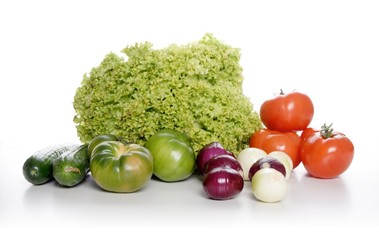 Studio shot of vegetables composition