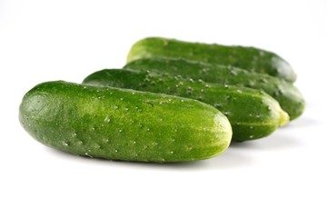 Cucumber