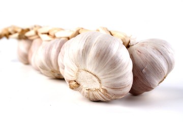 Garlic