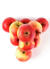 Apples