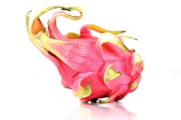 Studio shot of dragon fruit