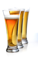 Pint of beer - studio shot