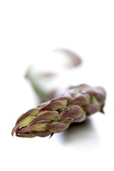 Studio shot of asparagus on white background