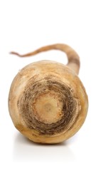 Parsley root