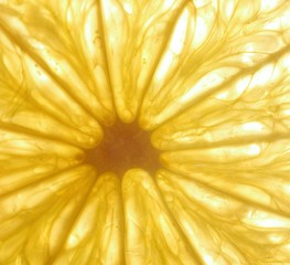 Lime slices on white background