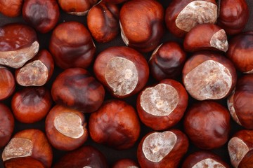Chestnut on wooden background - studio shot