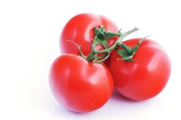 Red tomatoes on white background