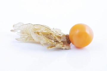Close-up of physalis fruit on white background