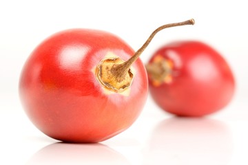 Tamarillo fruit on white background - studio shot