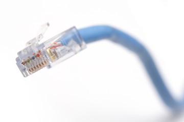 Network cable on white background