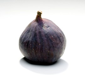 Fig on white bacground - studio shot