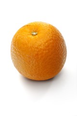 Oranges on white background - close-up
