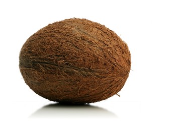 Studio shot of coconut on white bacground