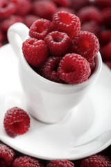 Raspberries in white cup - close-up