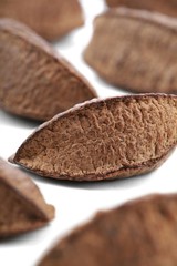 Brazil nut on white background