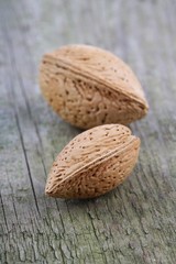 Almond in Shell - close-up