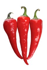 Chili peppers on white background