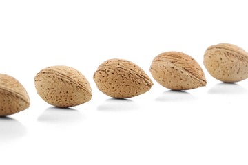 Almond in shell on white background