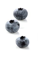 Obraz premium Blueberry on white background - close-up
