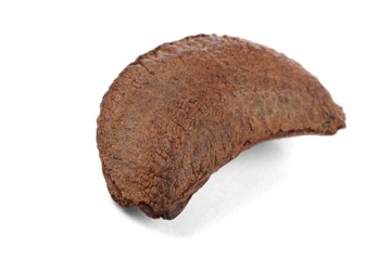 Brazil nut on white background