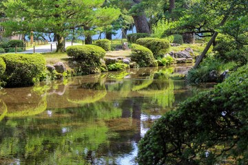 Obraz na płótnie Canvas 【日本】日本の庭園
