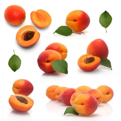 Apricots on white background - studio shot