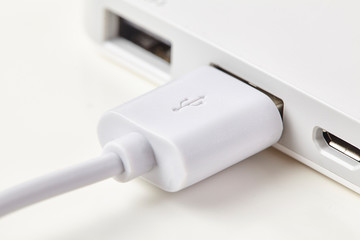 Fototapeta premium White USB cable into laptop isolated on background. Close up.