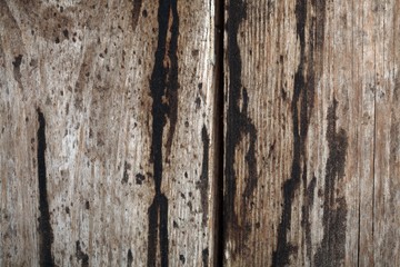 Wooden texture background